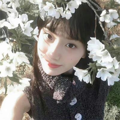 铁鸡谍网种情花